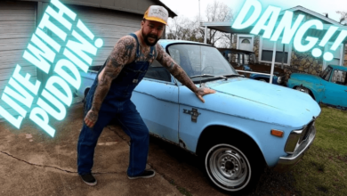 Puddin Fab Shop Net Worth