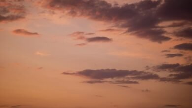 evening draw insights revealed