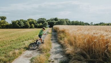 fatal accident updates today