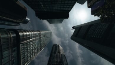 wnba average player height