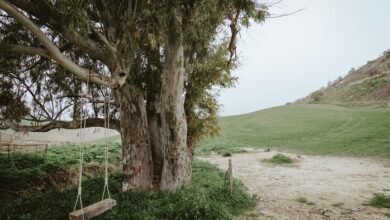 explore earning opportunities online